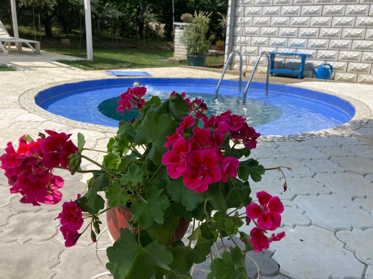 White House With Sauna And Jacuzzi Novi Sad Luaran gambar