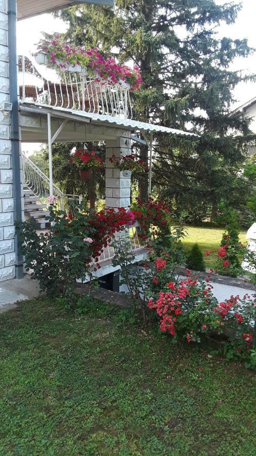 White House With Sauna And Jacuzzi Novi Sad Luaran gambar